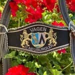 GTEV D´Neuburgler Vagen e.V. Logo