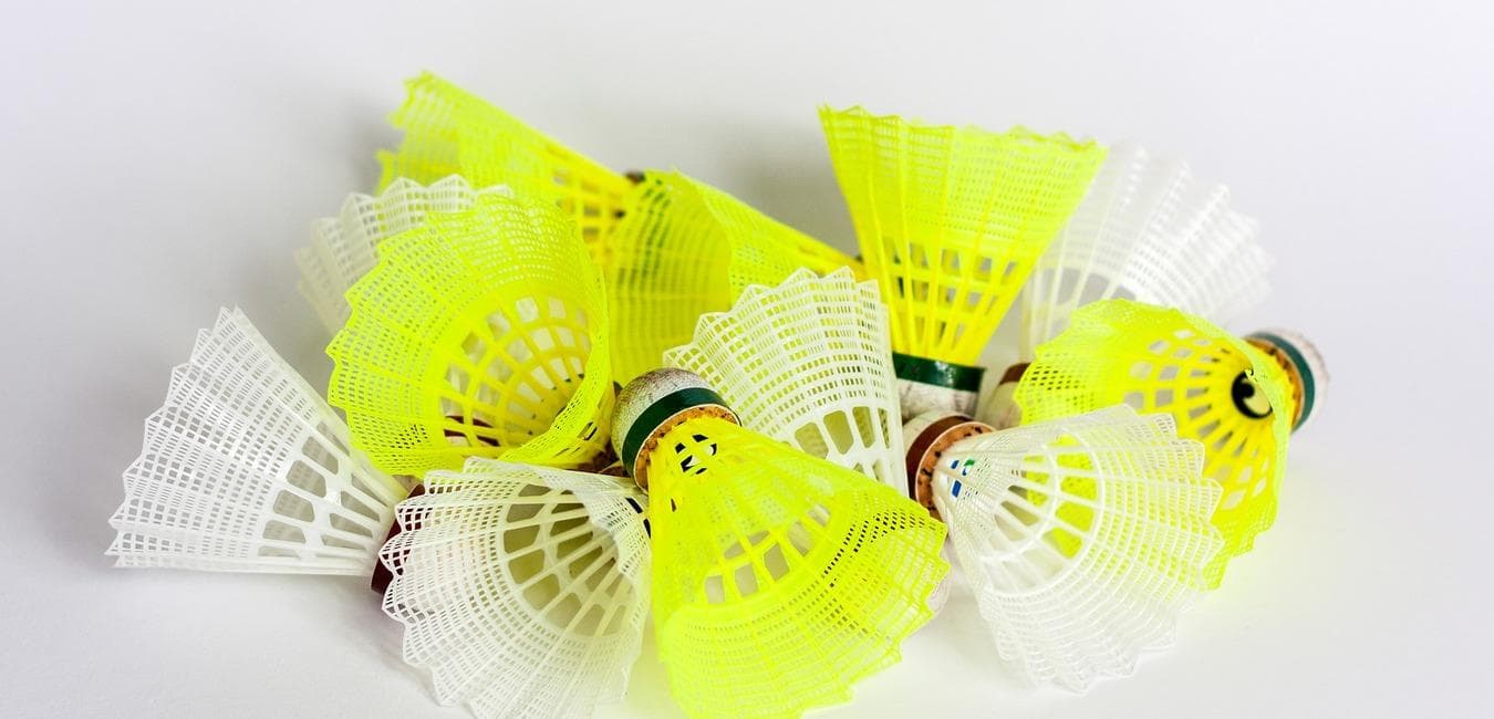 SV Nordenham - Badminton
